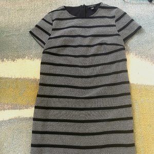 Ann Taylor Dress (XXXSP)